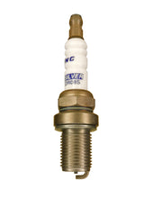 Load image into Gallery viewer, Brisk Silver Racing DR08S Spark Plug