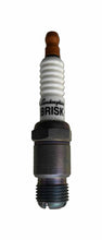Load image into Gallery viewer, Brisk Premium LGS Racing HOR11LGS Spark Plug
