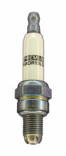Load image into Gallery viewer, Brisk Premium LGS Racing NAOR12LGS Spark Plug