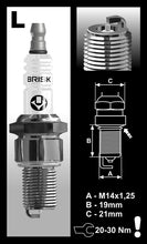 Load image into Gallery viewer, Brisk Silver Racing L10SL Spark Plug