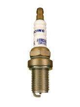 Load image into Gallery viewer, Brisk Silver Racing DR10S Spark Plug
