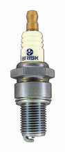 Load image into Gallery viewer, Brisk Silver Racing L10S Spark Plug
